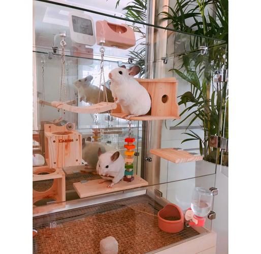 有哪些品牌的龍貓籠推薦，威畢蜜袋鼯龍貓籠子松鼠幼鼠花枝鼠加密小窩別墅 有哪些品牌的龍貓籠推薦，威畢蜜袋鼯龍貓籠子松鼠幼鼠花枝鼠加密小窩別墅 龍魚百科 第6張