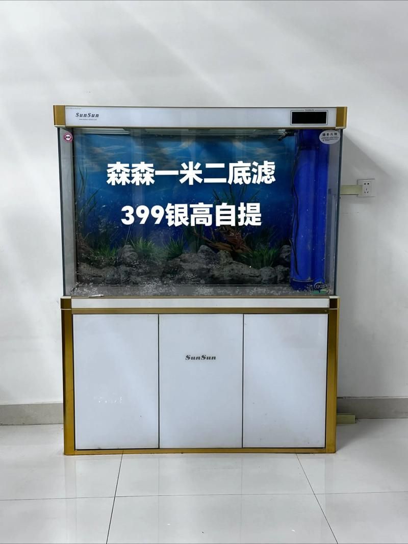 彩鰈、森森、閩江、可麗愛哪個牌子最好？，彩鰈,森森,閩江,可麗愛哪個牌子最好