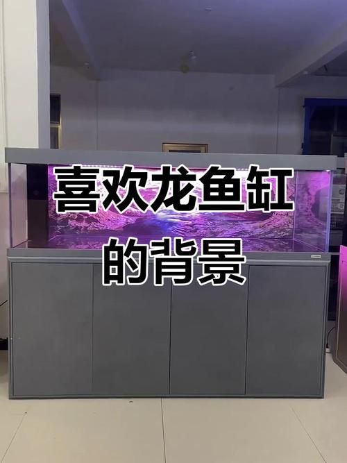 如何找到更多高清龍魚缸壁紙 龍魚百科 第1張 如何找到更多高清龍魚缸壁紙 如何找到更多高清龍魚缸壁紙 龍魚百科 第1張