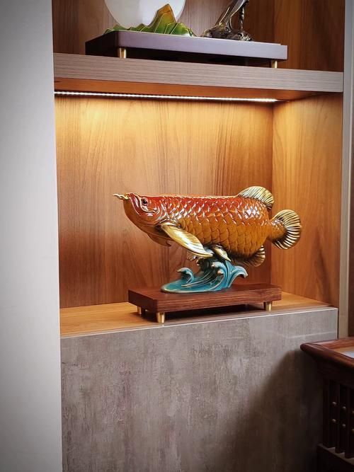 給我一些風水龍魚的圖片，風水魚之王——風水龍魚 給我一些風水龍魚的圖片，風水魚之王——風水龍魚 龍魚百科 第4張