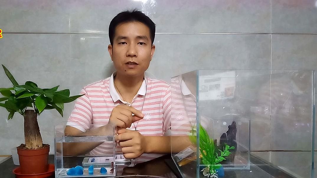 如何判斷魚缸是否消毒干凈，如何判斷魚缸是否消毒干凈，三個(gè)維度詳解如何確認(rèn)魚缸已徹底消毒 如何判斷魚缸是否消毒干凈，如何判斷魚缸是否消毒干凈，三個(gè)維度詳解如何確認(rèn)魚缸已徹底消毒 龍魚百科 第3張