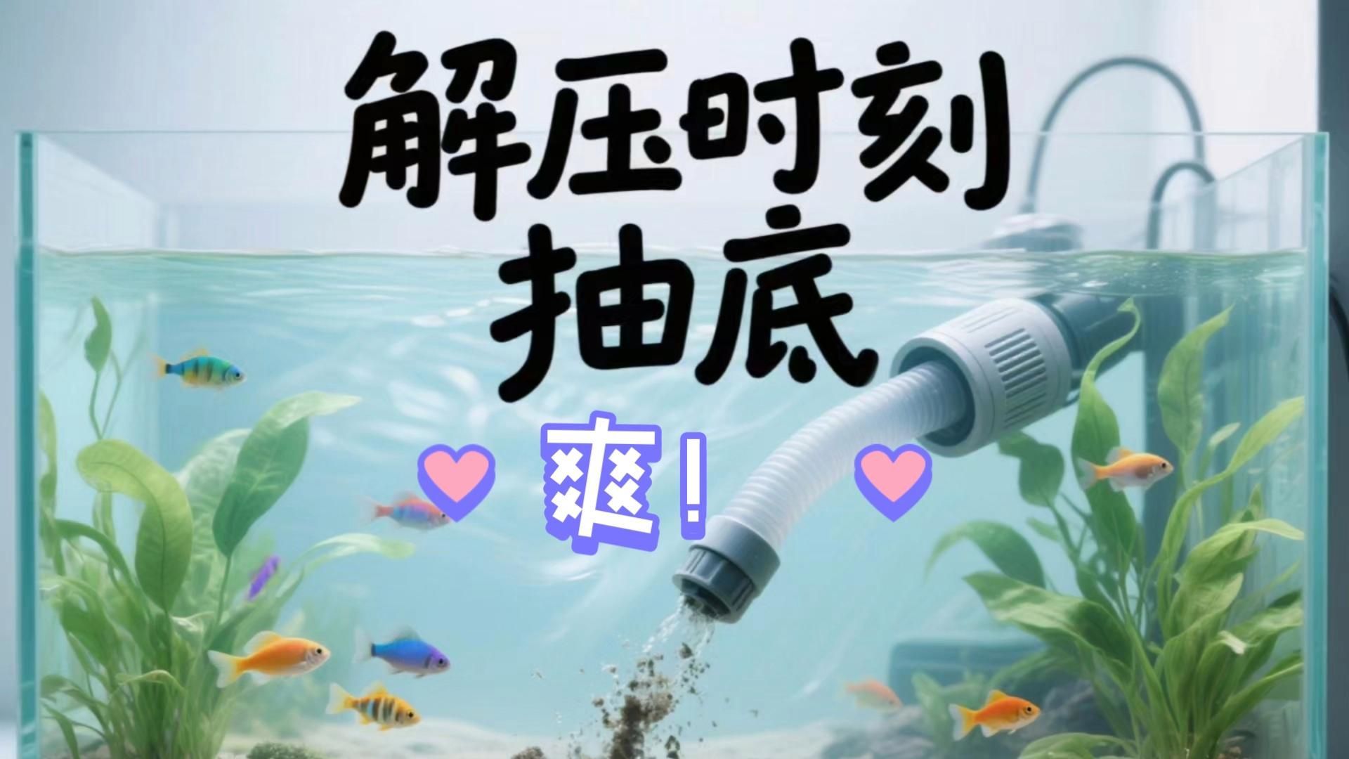 如何科學清洗魚缸，科學清洗魚缸的方法 如何科學清洗魚缸，科學清洗魚缸的方法 龍魚百科 第7張