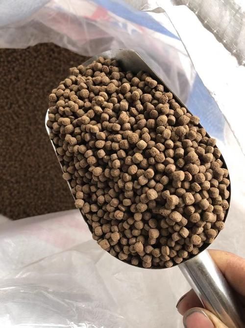 這三個品牌的紅龍魚飼料有何區(qū)別？，中國主流紅龍魚飼料品牌 這三個品牌的紅龍魚飼料有何區(qū)別？，中國主流紅龍魚飼料品牌 龍魚百科 第16張