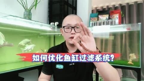如何配置強大的過濾系統(tǒng)，diy魚缸過濾系統(tǒng)