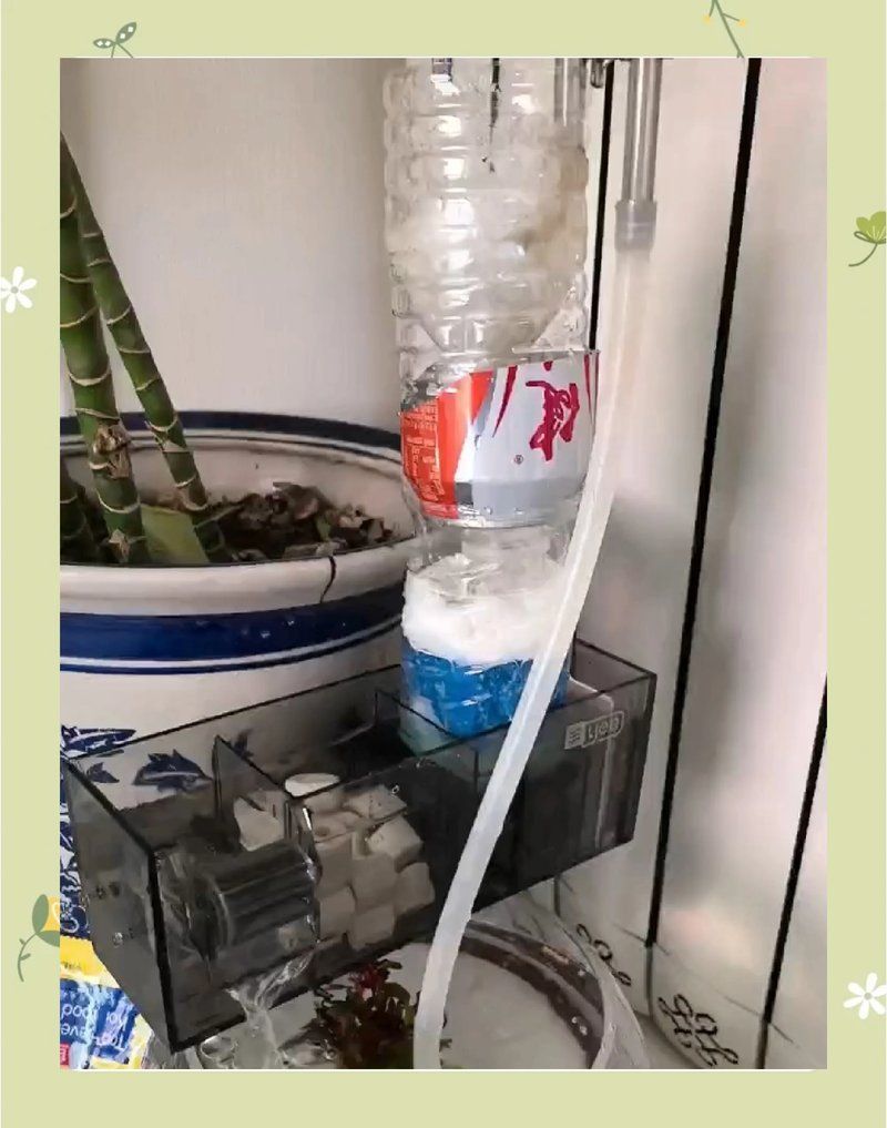 如何配置強大的過濾系統(tǒng)，diy魚缸過濾系統(tǒng)