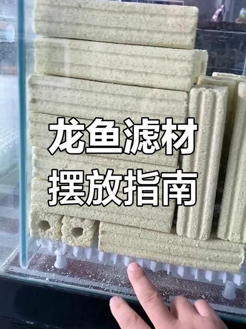 龍魚過濾系統(tǒng)維護技巧 龍魚過濾系統(tǒng)維護技巧 龍魚百科 第6張