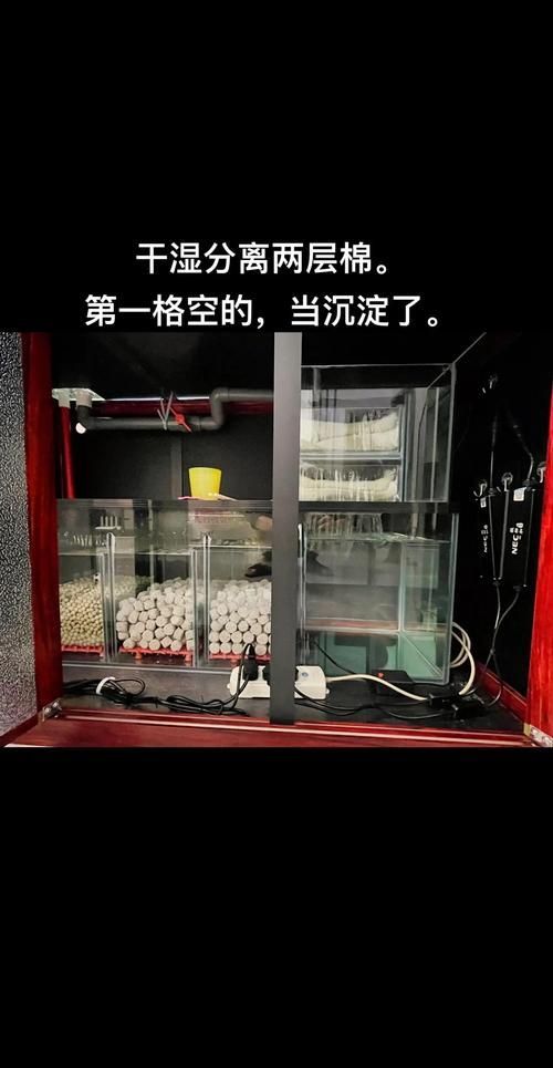 龍魚過濾系統(tǒng)維護技巧 龍魚過濾系統(tǒng)維護技巧 龍魚百科 第3張