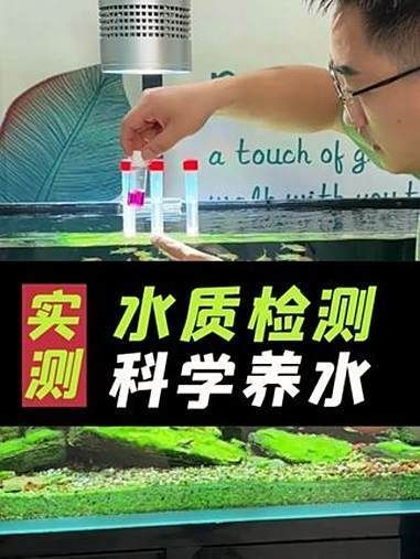 龍魚過濾系統(tǒng)維護技巧 龍魚過濾系統(tǒng)維護技巧 龍魚百科 第7張