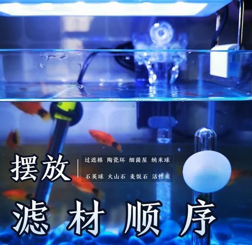 龍魚過濾系統(tǒng)維護技巧 龍魚過濾系統(tǒng)維護技巧 龍魚百科 第4張