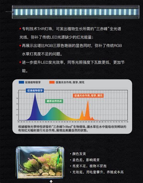 推薦幾款適合龍魚的夜燈品牌，適合龍魚使用的夜燈品牌推薦 推薦幾款適合龍魚的夜燈品牌，適合龍魚使用的夜燈品牌推薦 龍魚百科 第2張