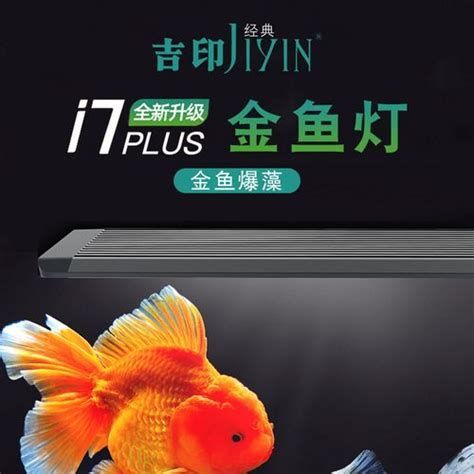 推薦幾款適合龍魚的夜燈品牌，適合龍魚使用的夜燈品牌推薦 推薦幾款適合龍魚的夜燈品牌，適合龍魚使用的夜燈品牌推薦 龍魚百科 第3張