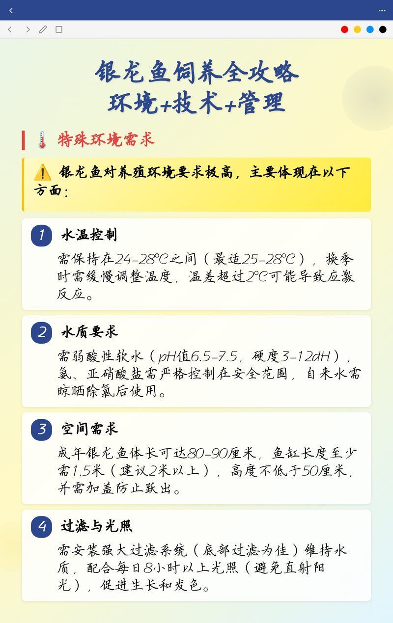銀龍魚如何飼養，銀龍魚飼養全攻略 銀龍魚如何飼養，銀龍魚飼養全攻略 龍魚百科 第2張