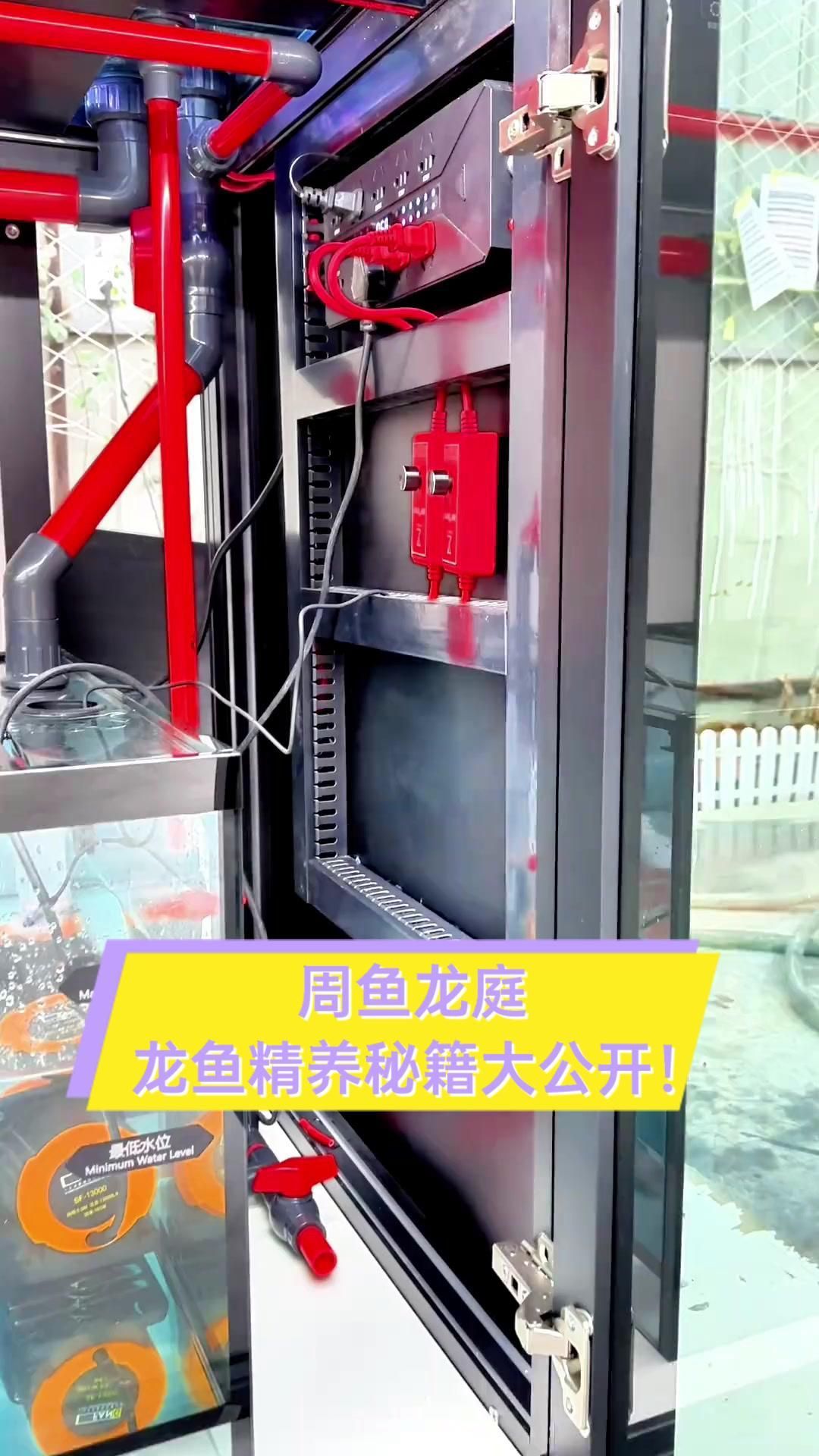 哪個品牌的龍魚魚缸評價最好？，哪個品牌的龍魚魚缸評價最好