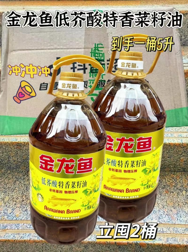 金龍魚批發價波動大嗎？，金龍魚批發價格波動大嗎金龍魚批發價格波動大嗎 金龍魚批發價波動大嗎？，金龍魚批發價格波動大嗎金龍魚批發價格波動大嗎 龍魚百科 第4張