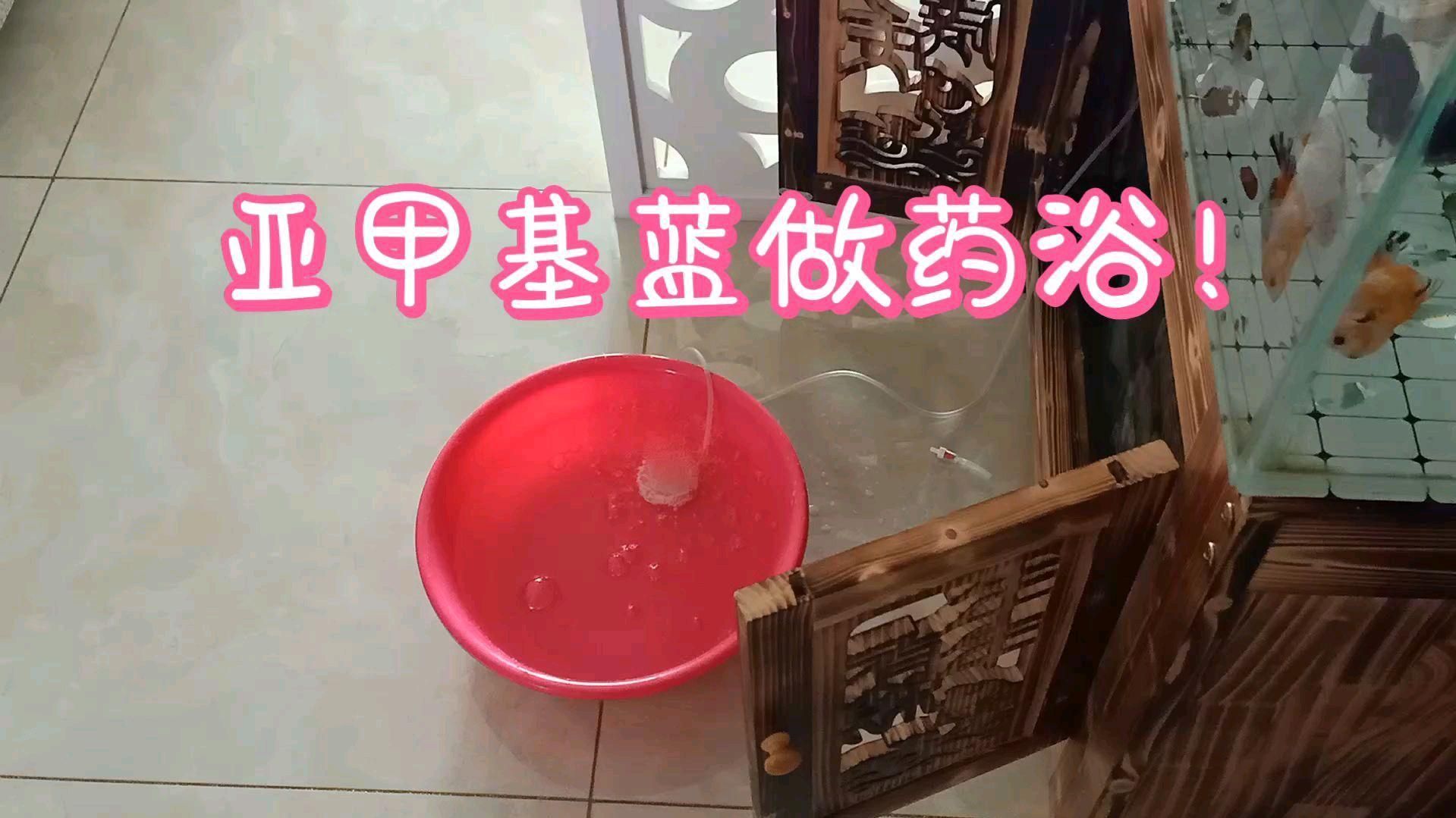 亞甲基藍(lán)治療真菌病需要多久見(jiàn)效，亞甲基藍(lán)（methyleneblue）在人類真菌病治療中的應(yīng)用 亞甲基藍(lán)治療真菌病需要多久見(jiàn)效，亞甲基藍(lán)（methyleneblue）在人類真菌病治療中的應(yīng)用 龍魚(yú)百科 第6張