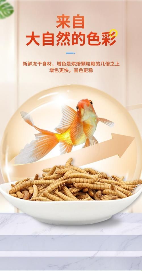 有哪些品牌龍魚魚糧性價比高？，性價比高的龍魚魚糧品牌的龍魚魚糧性價比高的品牌 有哪些品牌龍魚魚糧性價比高？，性價比高的龍魚魚糧品牌的龍魚魚糧性價比高的品牌 龍魚百科 第18張