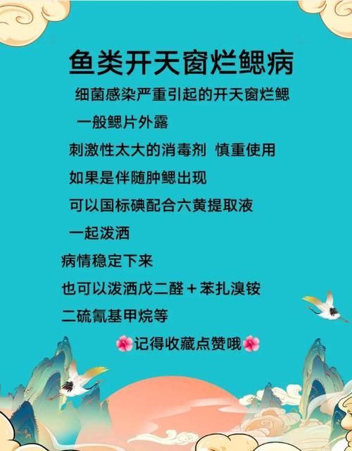 如何判斷金魚是否感染，如何判斷金魚感染 如何判斷金魚是否感染，如何判斷金魚感染 龍魚百科 第9張