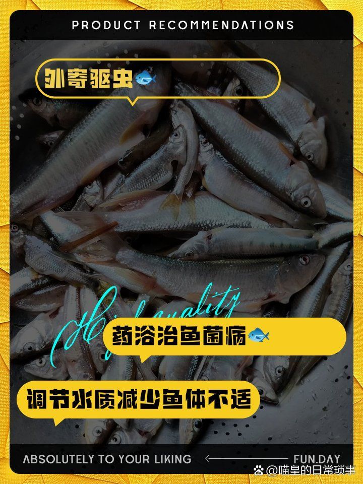 龍魚頻繁擺頭蹭缸怎么辦？，龍魚頻繁擺頭蹭缸怎么辦 龍魚頻繁擺頭蹭缸怎么辦？，龍魚頻繁擺頭蹭缸怎么辦 龍魚百科 第3張