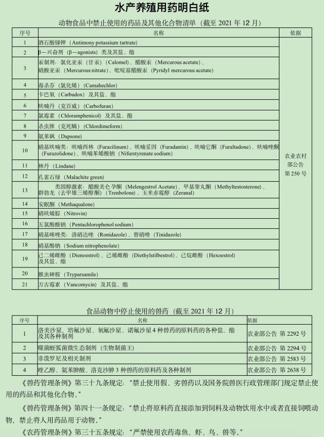 哪些魚種對氟苯尼考敏感，哪些魚種該如何防治氟苯尼考 哪些魚種對氟苯尼考敏感，哪些魚種該如何防治氟苯尼考 龍魚百科 第2張
