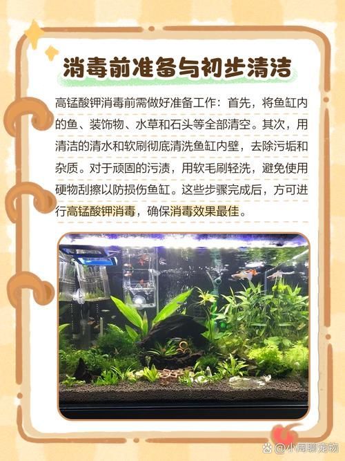 如何預(yù)防魚交叉感染,arxiv論文助手arxiv論文助手(arxiv論文助手) 龍魚百科 第5張 如何預(yù)防魚交叉感染,arxiv論文助手arxiv論文助手(arxiv論文助手) 如何預(yù)防魚交叉感染,arxiv論文助手arxiv論文助手(arxiv論文助手) 龍魚百科 第5張