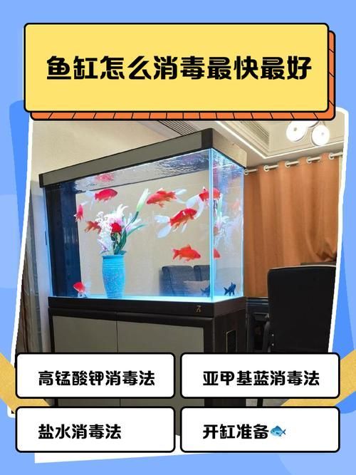 如何預(yù)防魚交叉感染,arxiv論文助手arxiv論文助手(arxiv論文助手) 龍魚百科 第9張 如何預(yù)防魚交叉感染,arxiv論文助手arxiv論文助手(arxiv論文助手) 如何預(yù)防魚交叉感染,arxiv論文助手arxiv論文助手(arxiv論文助手) 龍魚百科 第9張