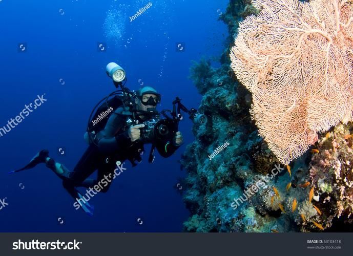 推薦一些龍魚攝影的獲獎作品，國際攝影賽事中的龍魚攝影作品 推薦一些龍魚攝影的獲獎作品，國際攝影賽事中的龍魚攝影作品 龍魚百科 第5張