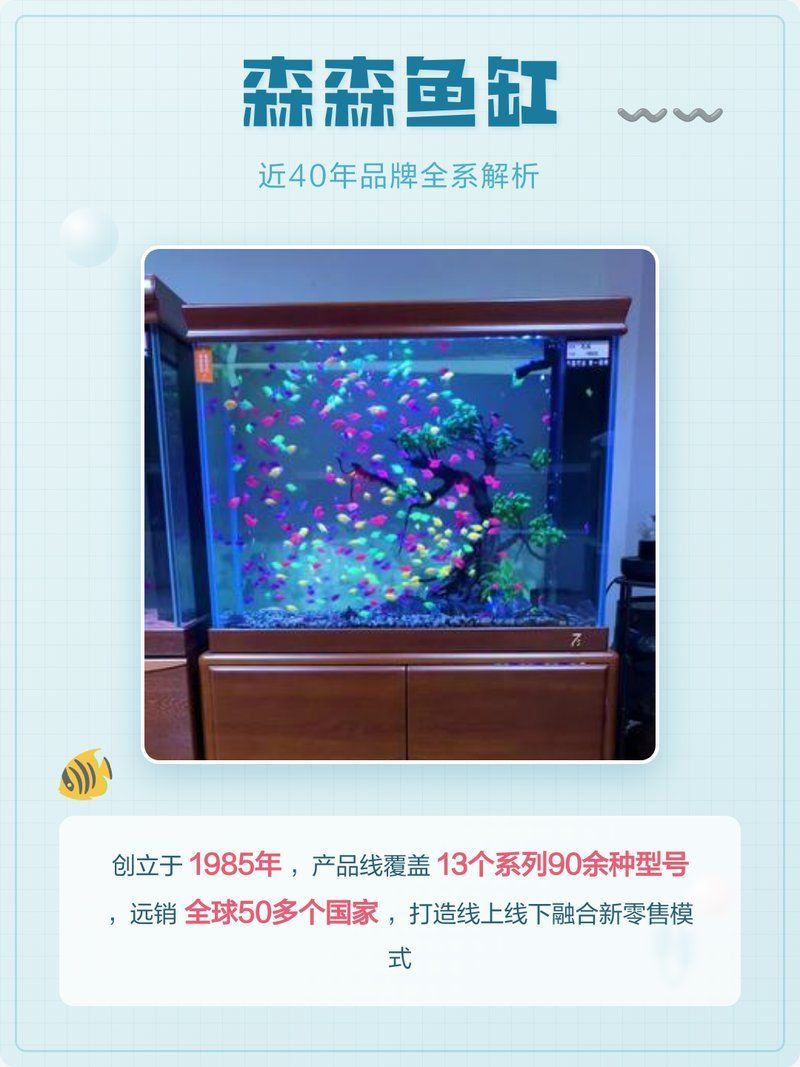 彩鰈、森森、可麗愛哪個品牌最好？，彩鰈,森森,可麗愛哪個品牌最好?