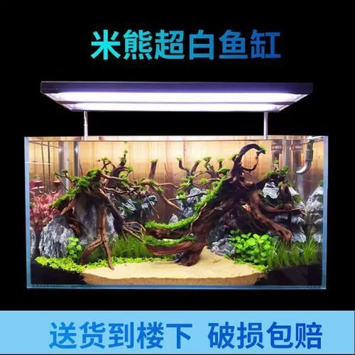 祥龍魚場推薦哪些魚缸品牌？，祥龍魚場推薦哪些品牌 祥龍魚場推薦哪些魚缸品牌？，祥龍魚場推薦哪些品牌 龍魚百科 第10張