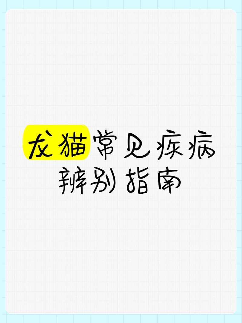 龍貓感冒了怎么辦，龍貓感冒了怎么辦龍貓感冒了怎么辦，龍貓感冒了怎么辦 龍貓感冒了怎么辦，龍貓感冒了怎么辦龍貓感冒了怎么辦，龍貓感冒了怎么辦 龍魚百科 第2張