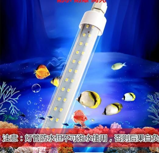 6000K魚缸照明燈哪個型號性價比最高，6000k魚缸照明燈哪個型號性價比最高