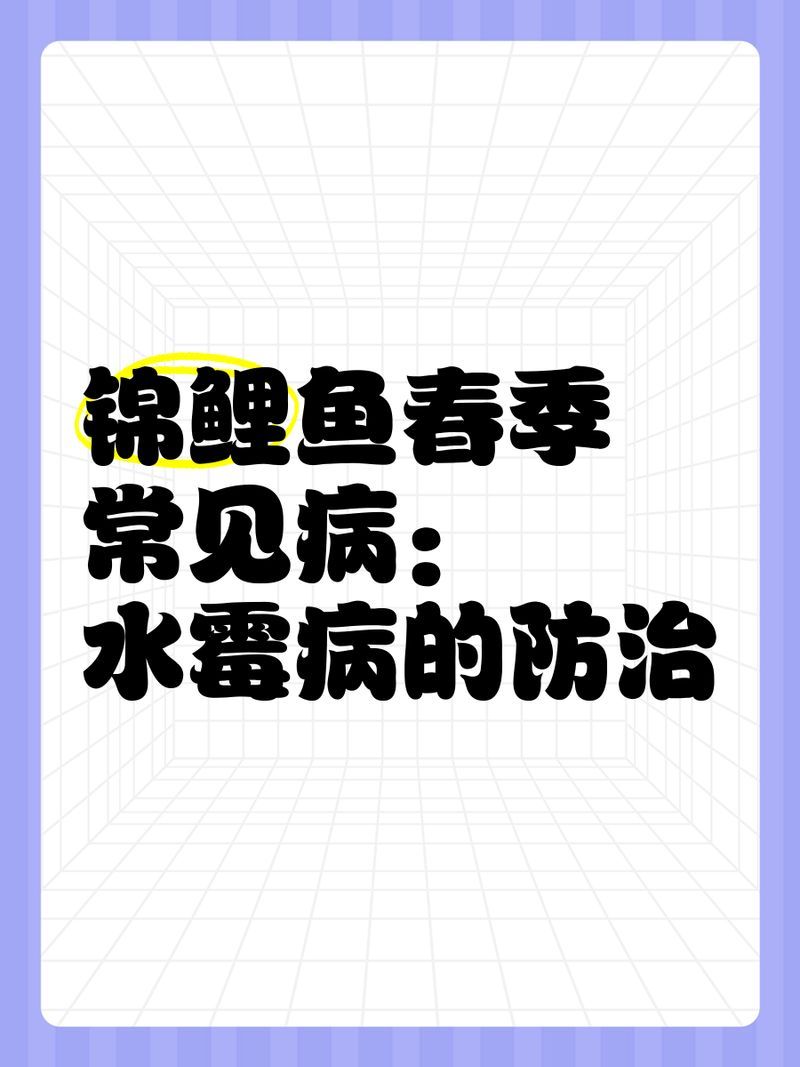有哪些天然方法可以預(yù)防魚傷口感染，有哪些天然抗菌物質(zhì)可以用于預(yù)防魚傷口感染