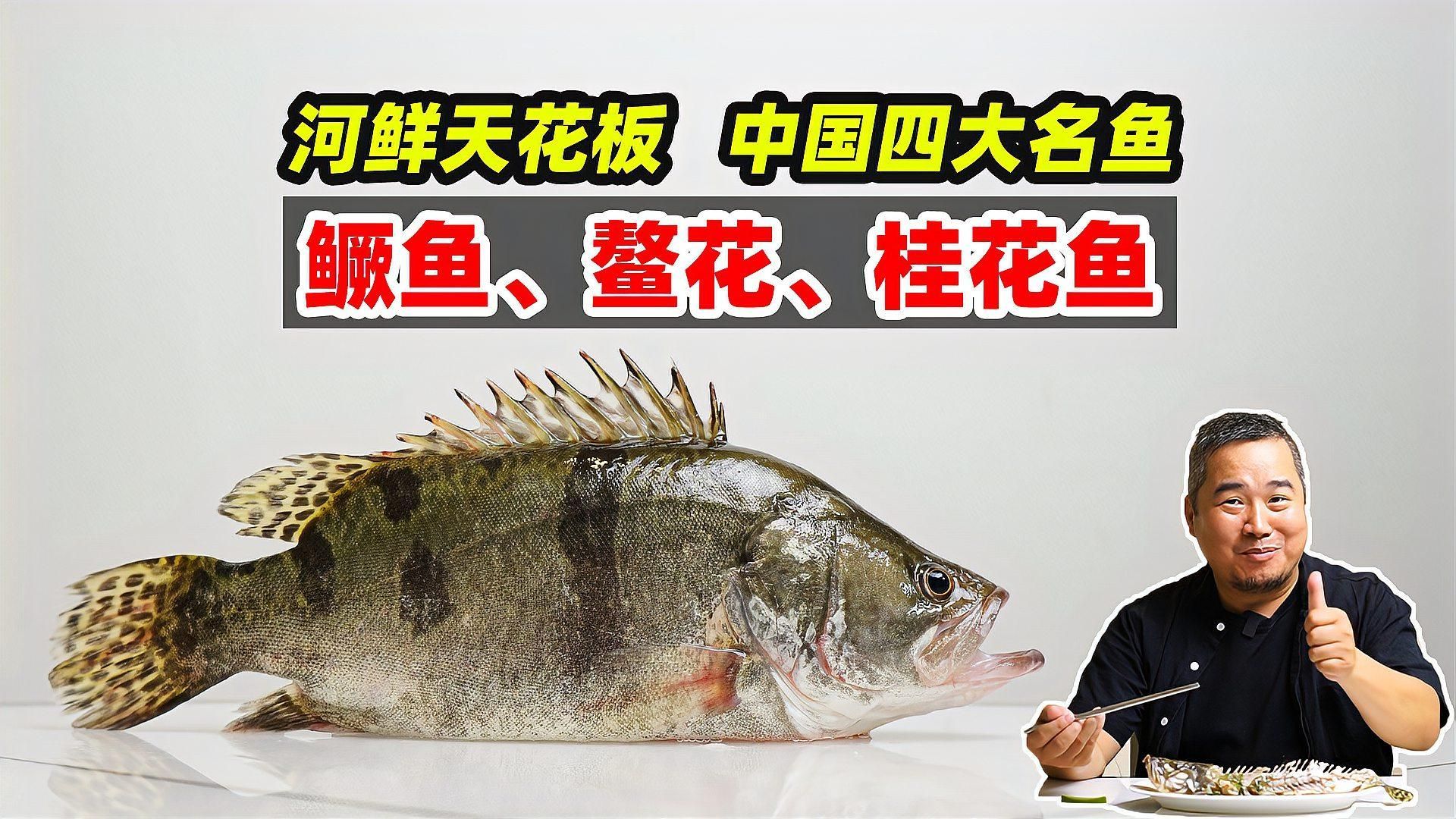 桂魚有哪些知名產(chǎn)地，中國十大優(yōu)質(zhì)桂魚產(chǎn)地對(duì)比表