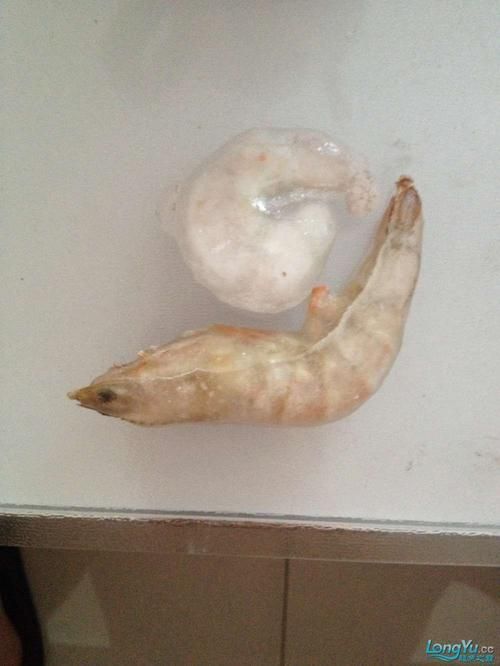 龍魚飼養技巧有哪些 龍魚百科 第10張 龍魚飼養技巧有哪些 龍魚飼養技巧有哪些 龍魚百科 第10張