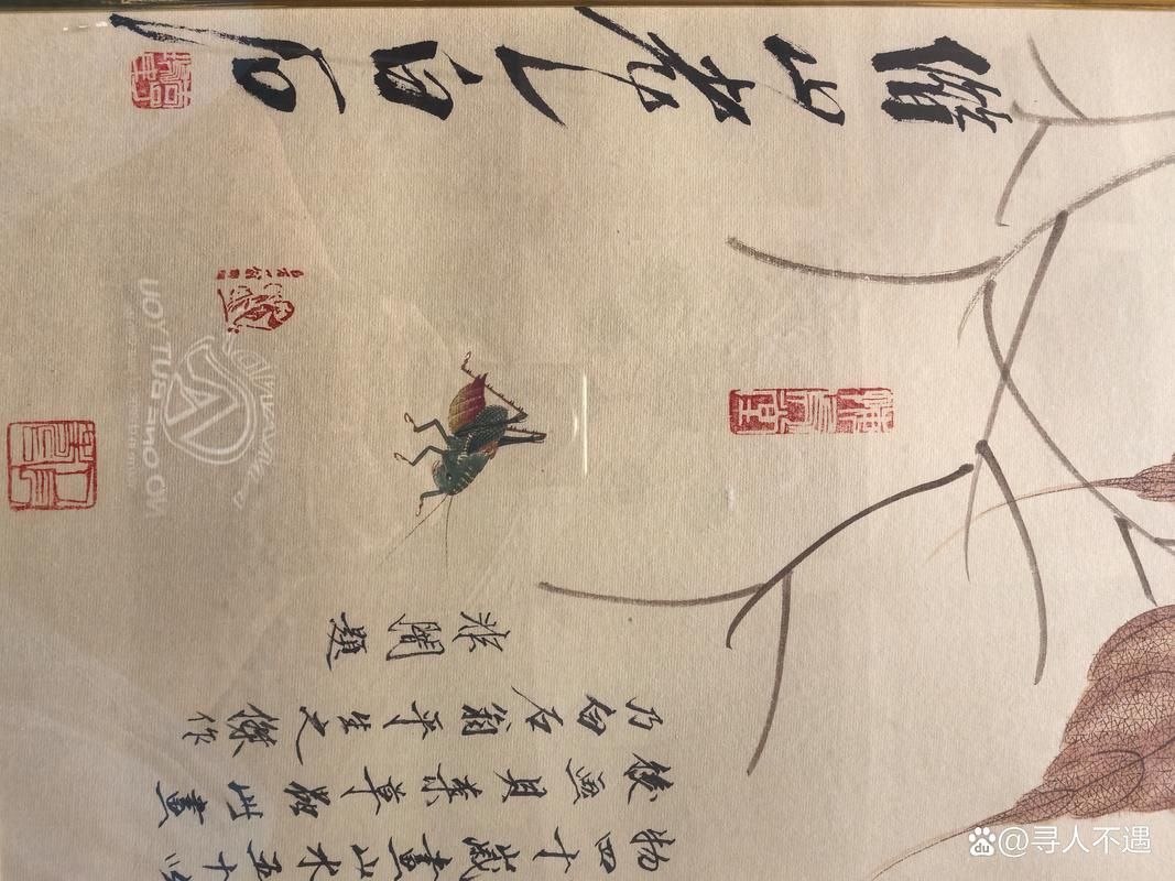 如何鑒定收藏品真偽，如何遵循《收藏品真偽定級標準》 如何鑒定收藏品真偽，如何遵循《收藏品真偽定級標準》 龍魚百科 第6張