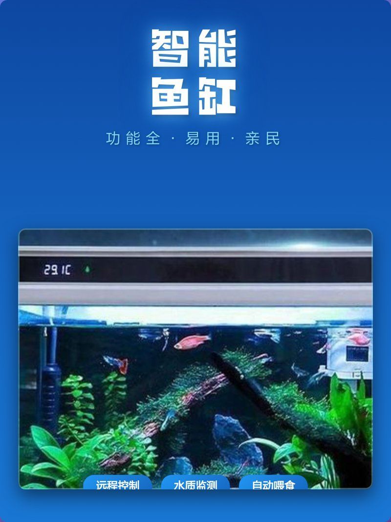 如何優化高缸的水質管理？ 如何優化高缸的水質管理？ 龍魚百科 第2張