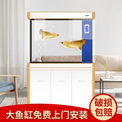 森森和博宇哪個更適合龍魚？，森森與博宇龍魚缸哪個更適合飼養森森和博宇龍魚缸 森森和博宇哪個更適合龍魚？，森森與博宇龍魚缸哪個更適合飼養森森和博宇龍魚缸 龍魚百科 第5張
