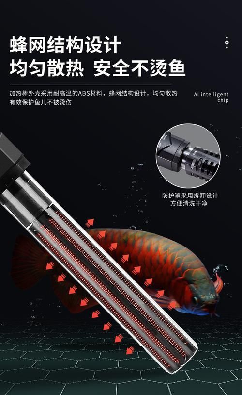 如何維持紅龍魚缸水溫穩(wěn)定,如何維持紅龍魚缸水溫穩(wěn)定思考 龍魚百科 第5張 如何維持紅龍魚缸水溫穩(wěn)定,如何維持紅龍魚缸水溫穩(wěn)定思考 如何維持紅龍魚缸水溫穩(wěn)定,如何維持紅龍魚缸水溫穩(wěn)定思考 龍魚百科 第5張