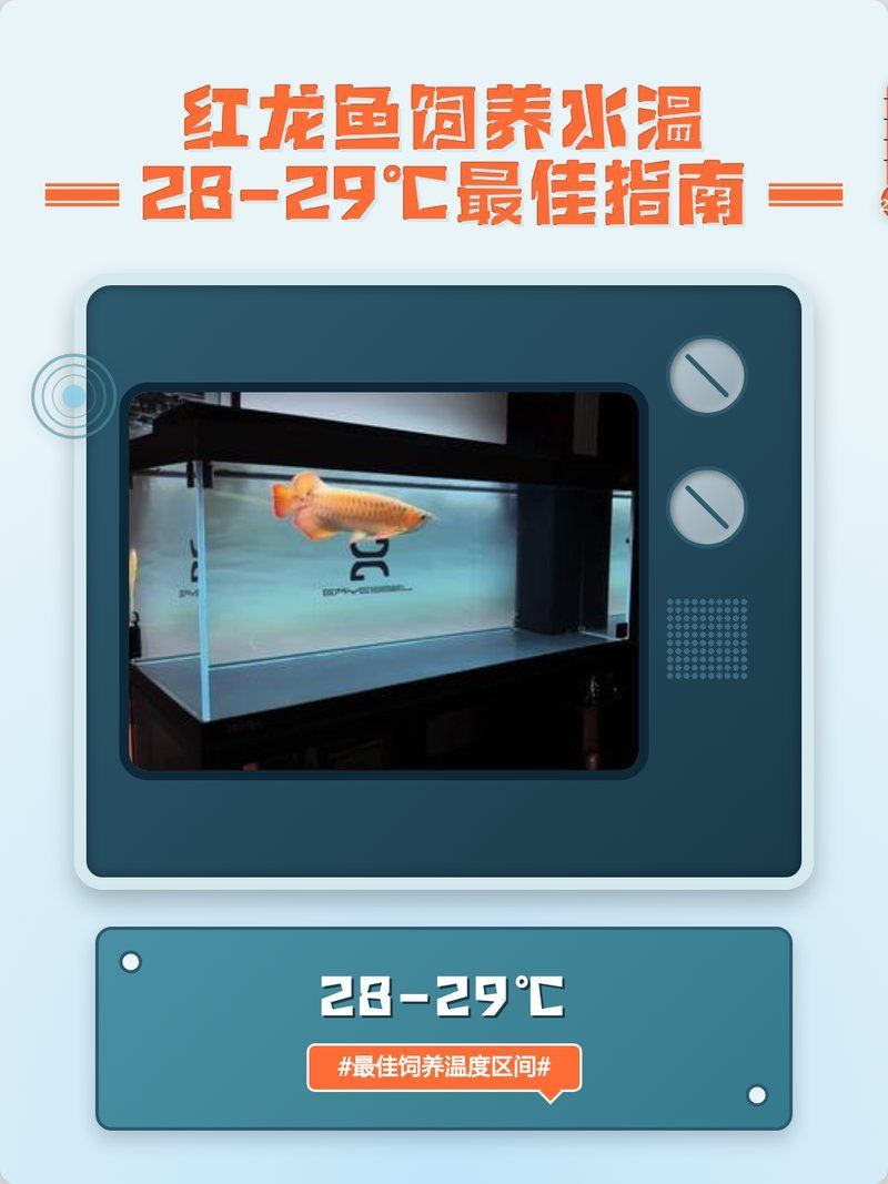如何維持紅龍魚缸水溫穩(wěn)定，如何維持紅龍魚缸水溫穩(wěn)定思考 如何維持紅龍魚缸水溫穩(wěn)定，如何維持紅龍魚缸水溫穩(wěn)定思考 龍魚百科 第7張