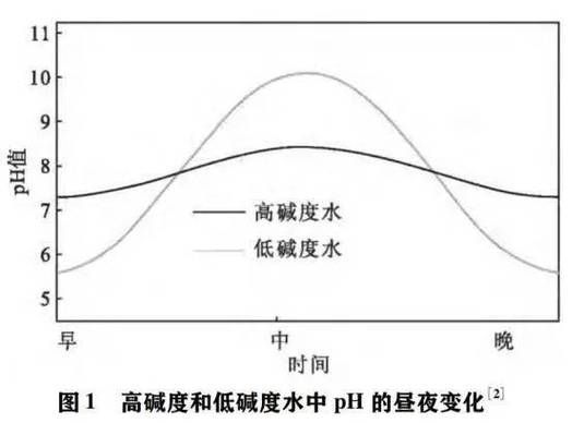 如何判斷水質是否適合養魚 龍魚百科 第4張 如何判斷水質是否適合養魚 如何判斷水質是否適合養魚 龍魚百科 第4張