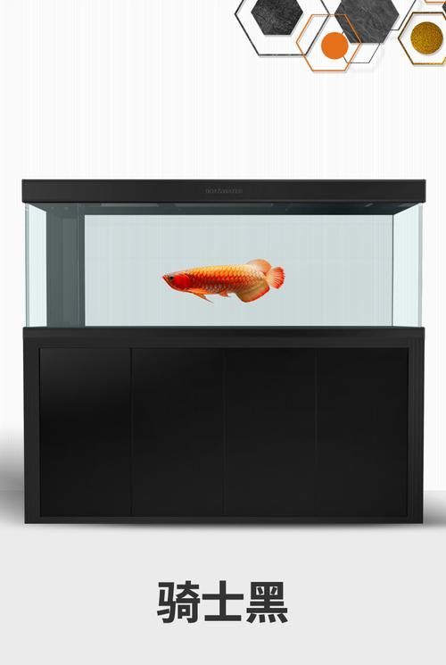 推薦幾個龍魚缸品牌，家庭養魚選擇龍魚缸品牌推薦 推薦幾個龍魚缸品牌，家庭養魚選擇龍魚缸品牌推薦 龍魚百科 第11張