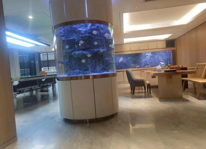 如何判斷龍魚缸的耐用性？ 如何判斷龍魚缸的耐用性？ 龍魚百科 第4張