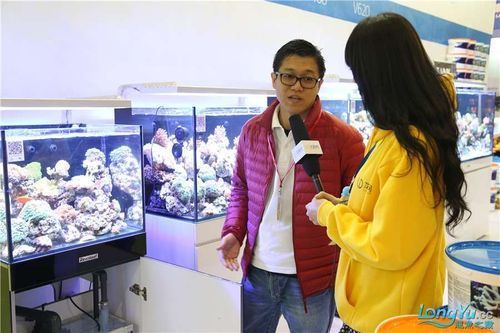有哪些著名的龍魚漁場,新加坡、馬來西亞、印度尼西亞、中國龍魚漁場的區別 龍魚百科 第14張 有哪些著名的龍魚漁場,新加坡、馬來西亞、印度尼西亞、中國龍魚漁場的區別 有哪些著名的龍魚漁場,新加坡、馬來西亞、印度尼西亞、中國龍魚漁場的區別 龍魚百科 第14張