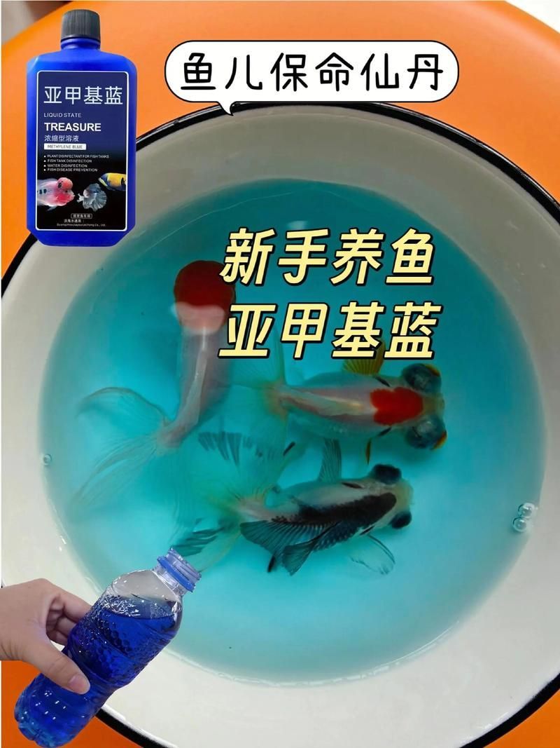 哪種藥物治療魚真菌感染最有效，arxiv論文助手可輔助確認(rèn)魚真菌感染最有效的藥物