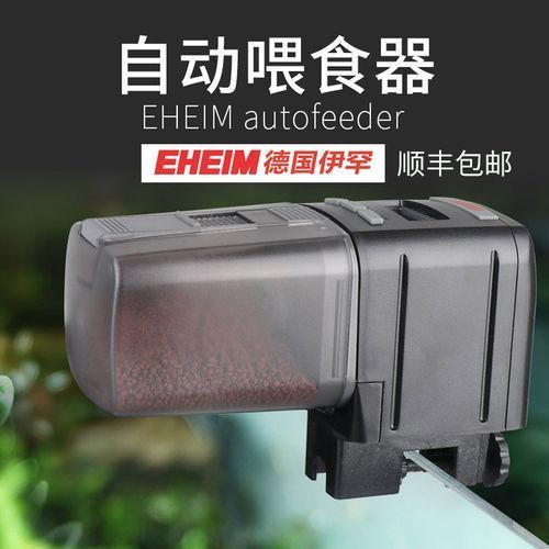 彩鰈和伊罕的價格差異大嗎？，彩鰈和伊罕的價格差異 彩鰈和伊罕的價格差異大嗎？，彩鰈和伊罕的價格差異 龍魚百科 第4張