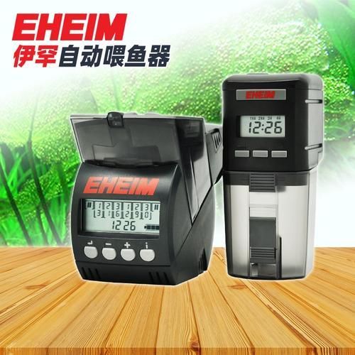 彩鰈和伊罕的價格差異大嗎？，彩鰈和伊罕的價格差異 彩鰈和伊罕的價格差異大嗎？，彩鰈和伊罕的價格差異 龍魚百科 第5張