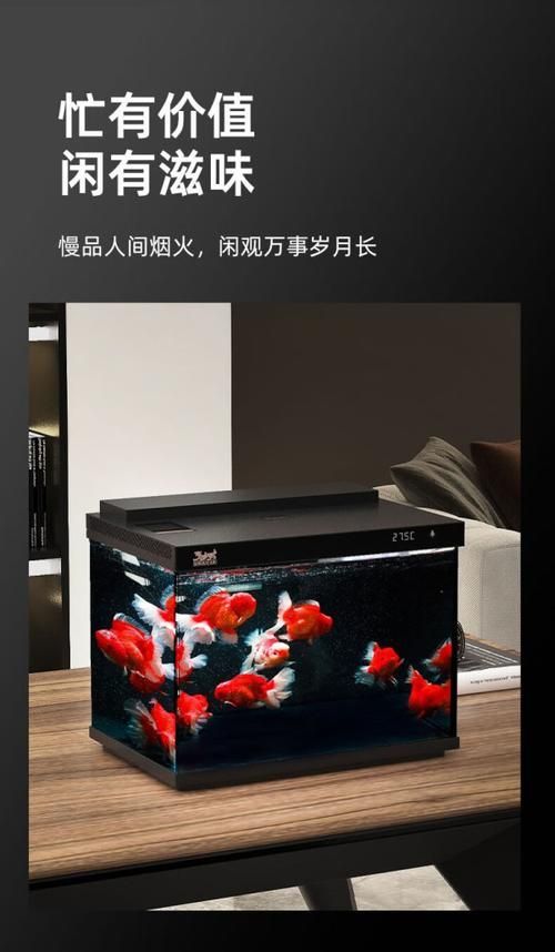 這些品牌缸中哪個性價比最高？，璃魚缸中哪個品牌缸中哪個性價比最高性價比最高 這些品牌缸中哪個性價比最高？，璃魚缸中哪個品牌缸中哪個性價比最高性價比最高 龍魚百科 第2張