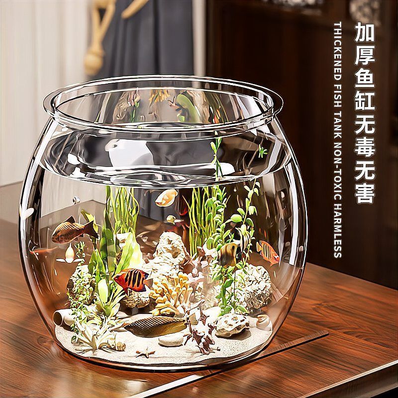 這些品牌缸中哪個性價比最高？，璃魚缸中哪個品牌缸中哪個性價比最高性價比最高 這些品牌缸中哪個性價比最高？，璃魚缸中哪個品牌缸中哪個性價比最高性價比最高 龍魚百科 第8張