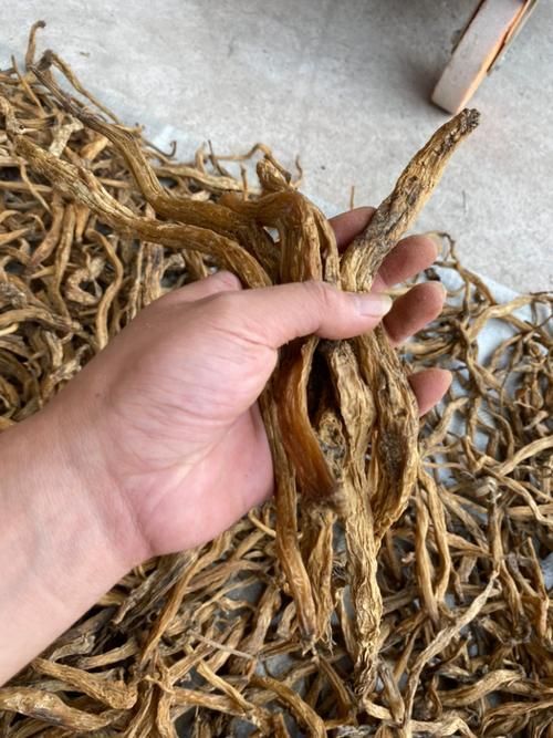 哪些中藥對魚寄生蟲最有效 哪些中藥對魚寄生蟲最有效 龍魚百科 第11張