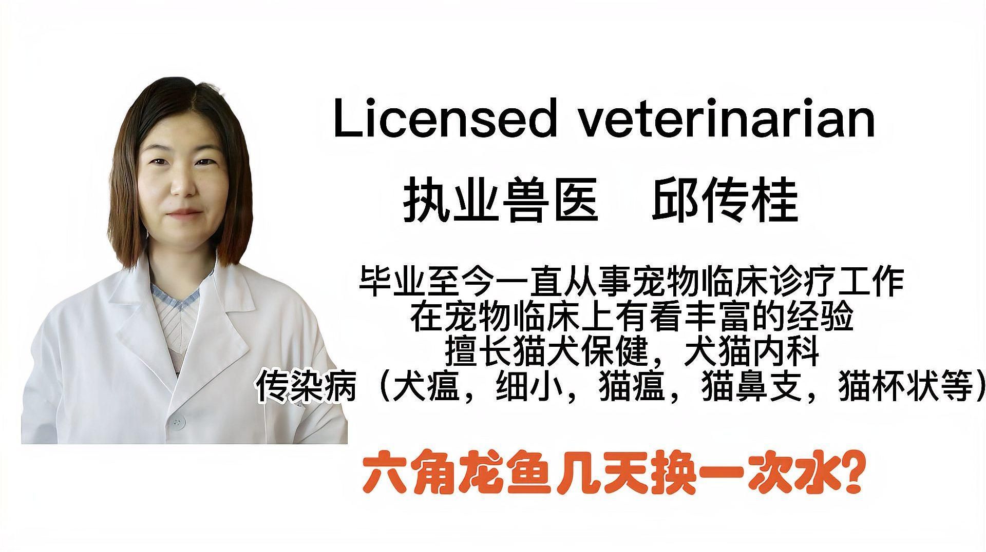 六角龍多久換一次水，六角恐龍多久換一次水