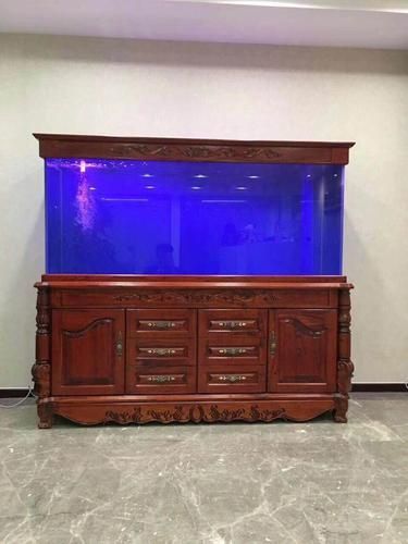 哪里可以購買到正宗的龍魚幼苗？ 哪里可以購買到正宗的龍魚幼苗？ 龍魚百科 第1張